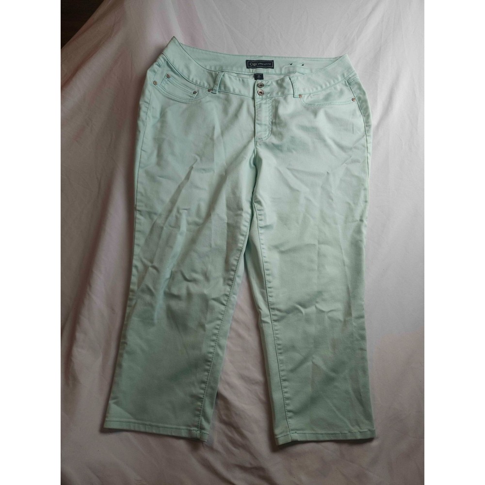 Cato Premium Capri Pants Womens 18W Plus Green Pastel Minimalist Classic Chic